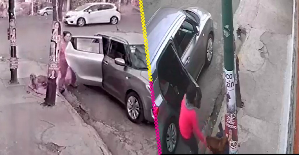 Mujer abandona perrito en calles de Tlalpan y queda grabada en video