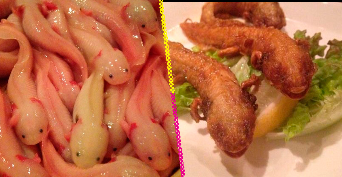 Noge Chinju-Ya: El restaurante japonés que ofrece ajolotes fritos en su menú