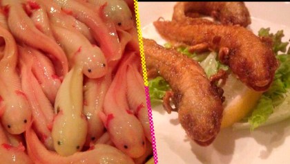 Noge Chinju-Ya: El restaurante japonés que ofrece ajolotes fritos en su menú