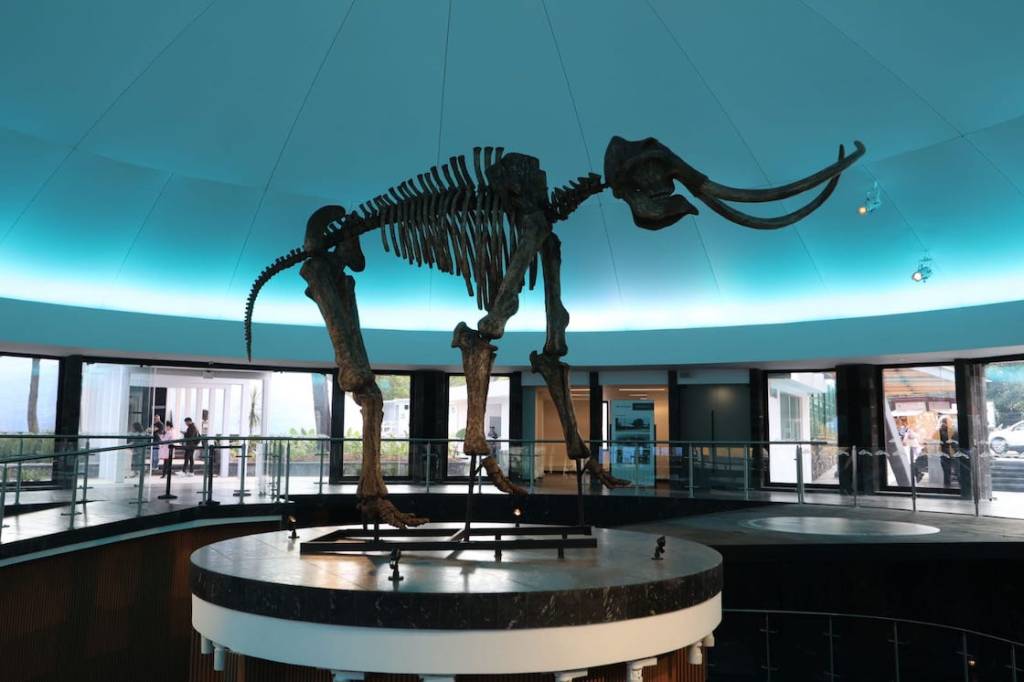 Nuevas salas en el Museo de Historia Natural.