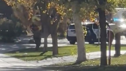 Lo que sabemos de un tiroteo en la Universidad de Nevada, en Las Vegas