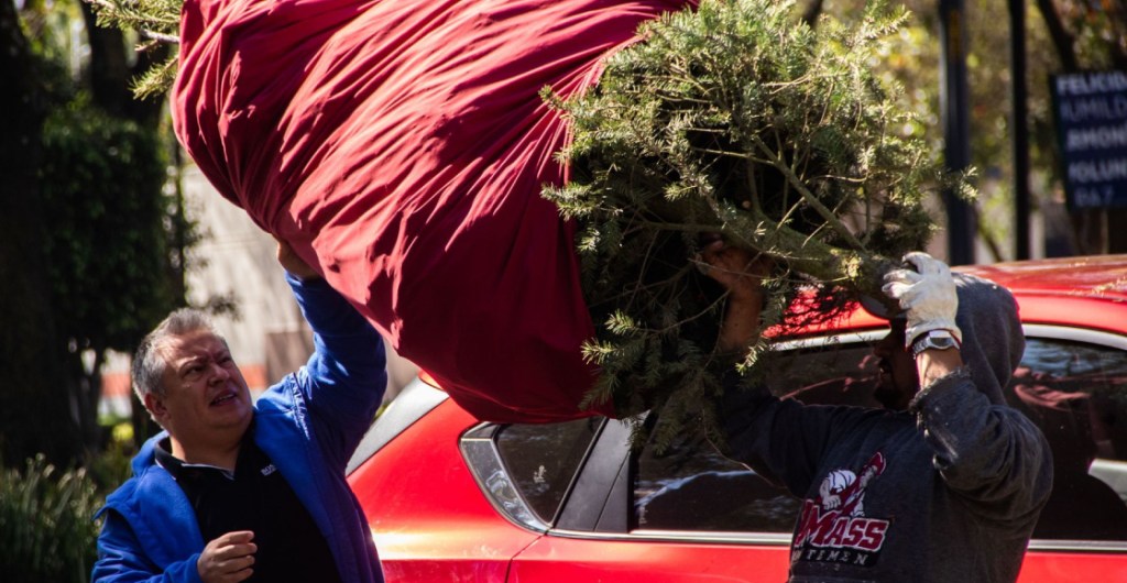Se acabó la fiesta: Lugares para reciclar tu árbol de Navidad natural en CDMX. Noticias en tiempo real