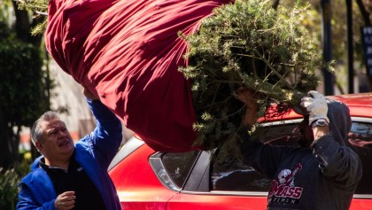 Se acabó la fiesta: Lugares para reciclar tu árbol de Navidad natural