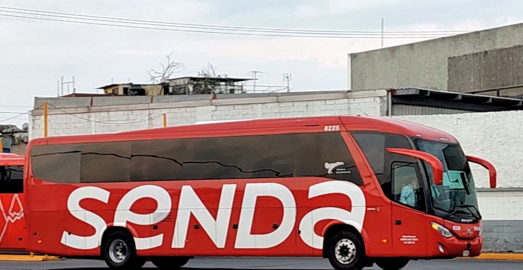 autobus senda tamaulipas
