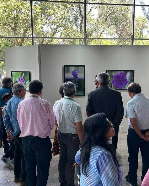 Razones para visitar el Jardín Botánico de la UNAM