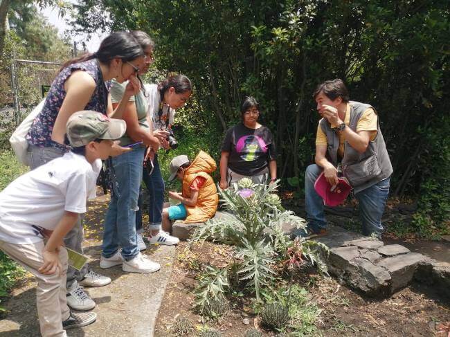 Razones para visitar el Jardín Botánico de la UNAM