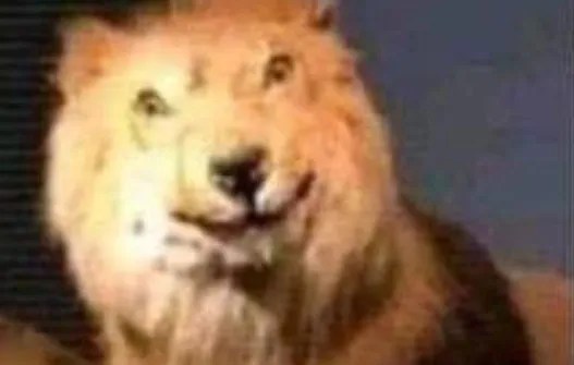 Meme León confundido