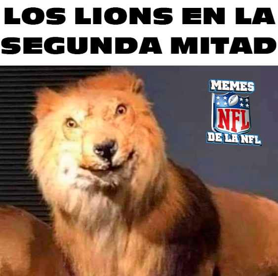 memes 49ers vs lions