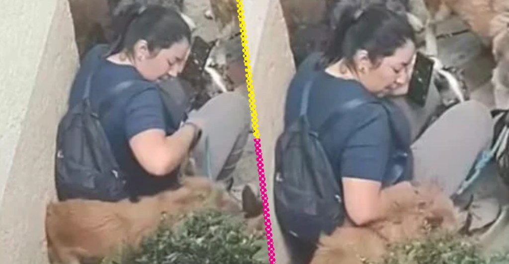 Mega chale: Captan a paseadora maltratando a perritos en CDMX