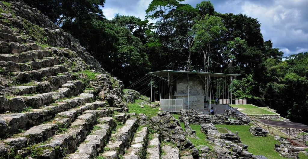 Suspenden turismo en Chiapas por el crimen organizado: ¿Qué está pasando en la Selva Lacandona?