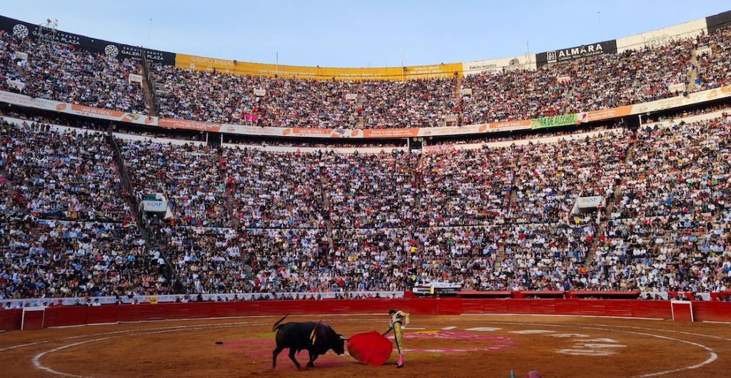 Suspenden corridas de toros en la Plaza México otra vez.