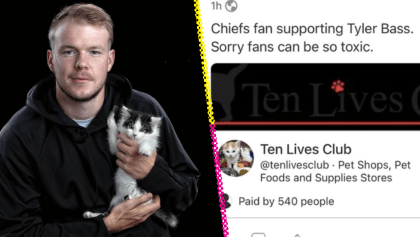 Fans de Bills donan a refugio de gatos para apoyar a Tyler Bass tras error en Playoffs de NFL