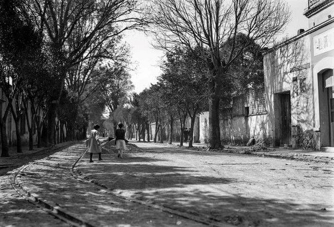 Estas son las 5 calles más bonitas de la CDMX, según los arquitectos