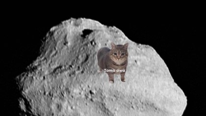 Encontraron agua en un asteroide y wow
