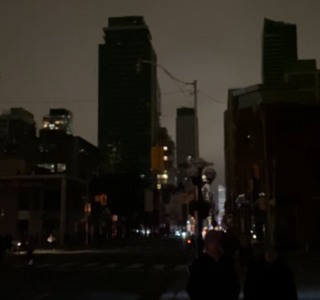 Un mapache provocó un apagón que dejó a miles sin luz en Toronto.