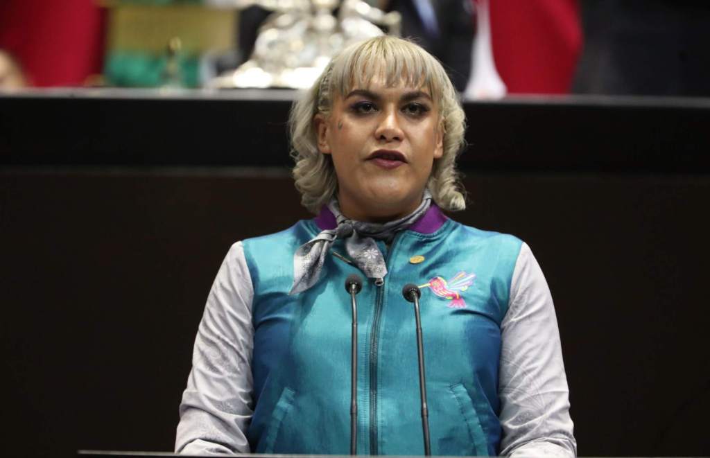 La diputada María Clemente en la presentación de la Ley Trans frente al pleno de la Cámara de Diputados.