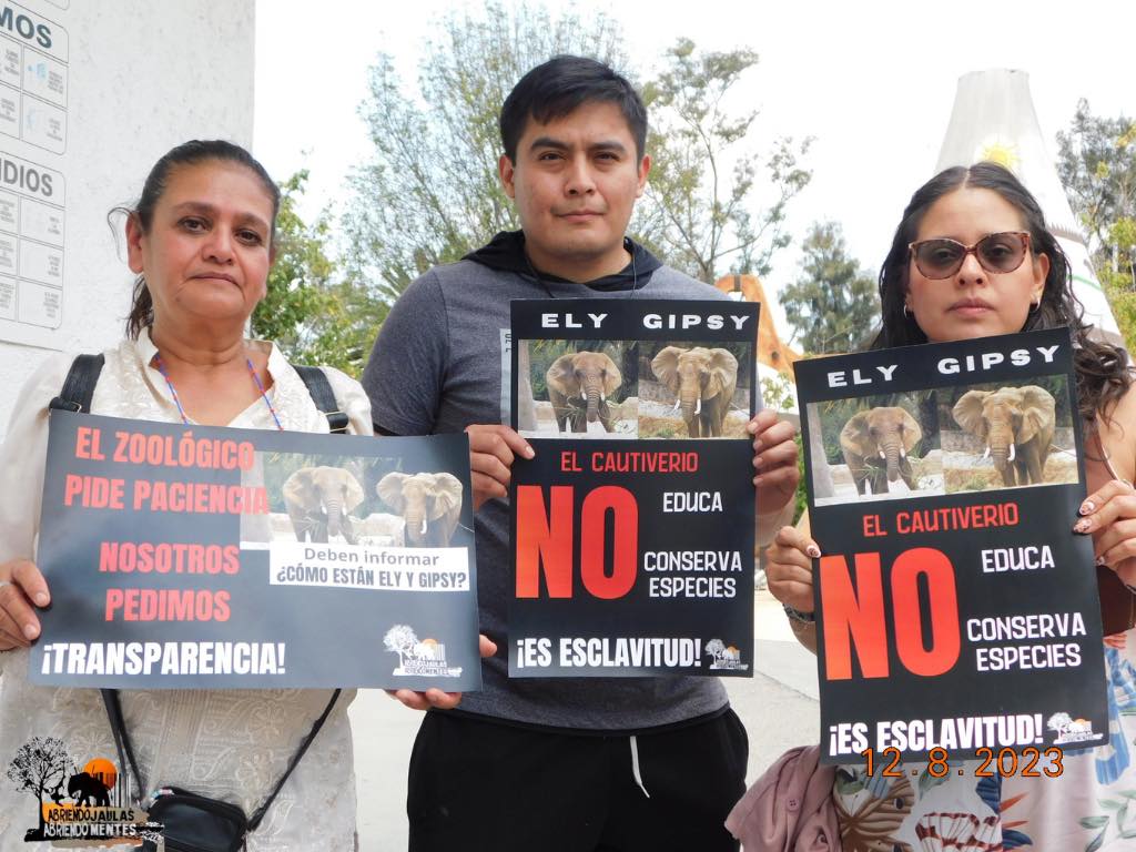 Una protesta de Abriendo Jaulas y Abriendo Mentes por Ely