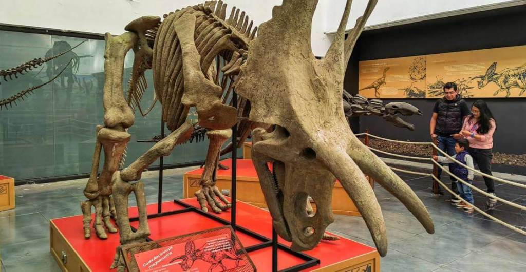 Explora el periodo Jurásico con la exposición Dinosaurios entre nosotros