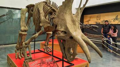 Explora el periodo Jurásico con la exposición Dinosaurios entre nosotros