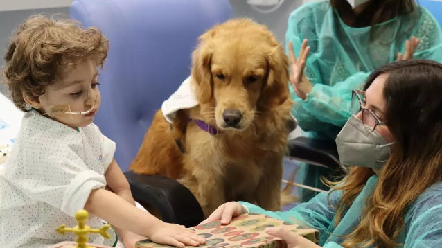 El hospital que tiene a perritos como ‘empleados’ para apoyar el tratamiento de niños
