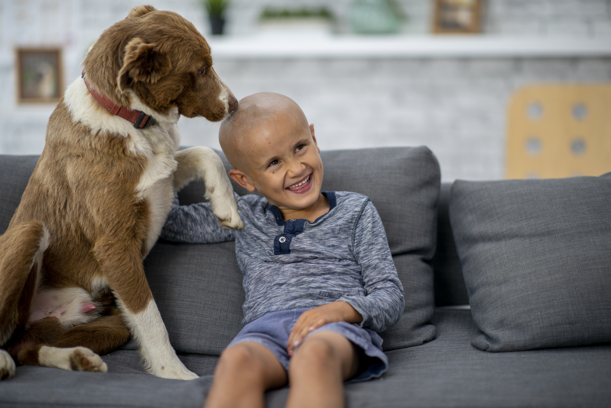 El hospital que tiene a perritos como ‘empleados’ para apoyar el tratamiento de niños