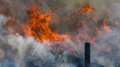 Dónde reportar y cómo prevenir incendios forestales en CDMX