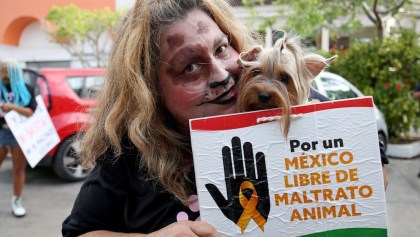 Prohibición del maltrato animal: 3 puntos que tienen que tienen que saber de la reforma de AMLO