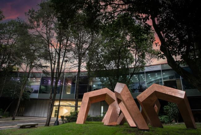 10 piezas imprescindibles del Museo de Arte Moderno de México