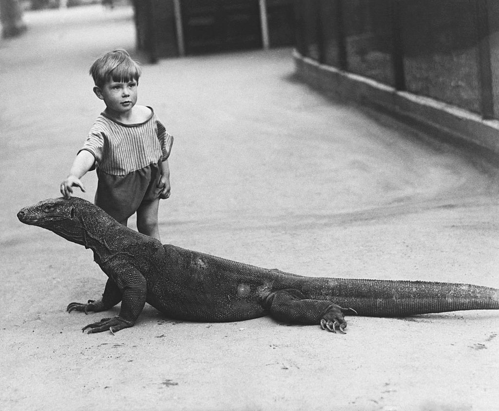 Un niño con un dragón de Komodo en el Londres de los 30
