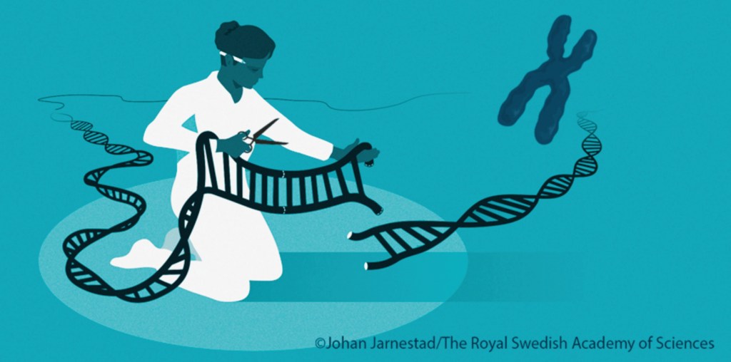 El método de las tijeras genéticas que ganó un premio Nobel en 2020.