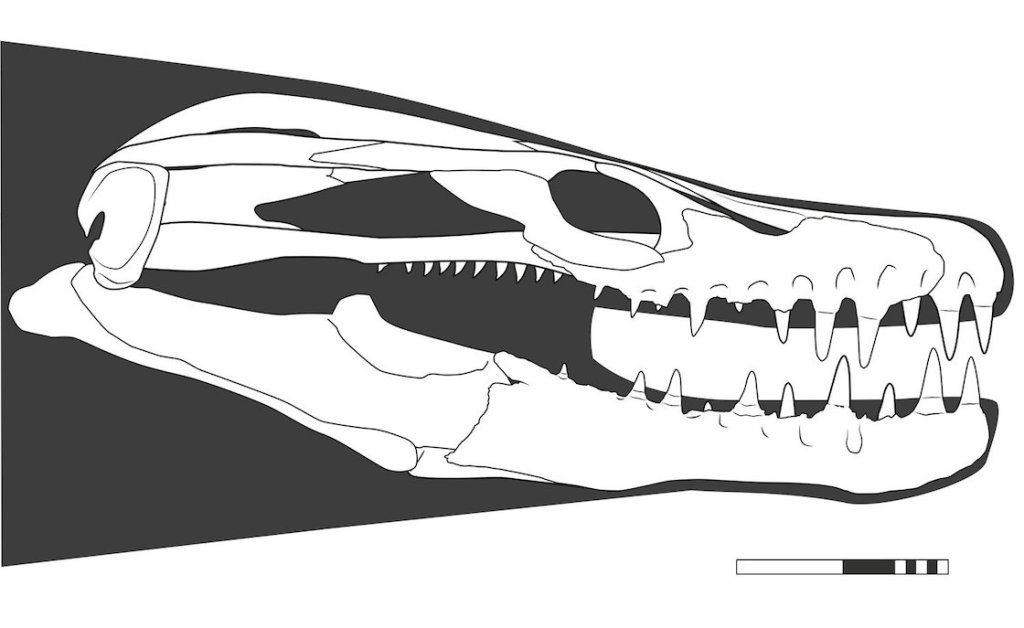 Reptil marino con dientes con forma de dagas.