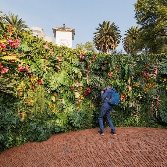 Todo lo que hay que saber sobre el Festival de Flores y Jardines de la CDMX