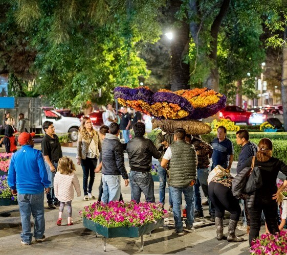 Todo lo que hay que saber sobre el Festival de Flores y Jardines de la CDMX