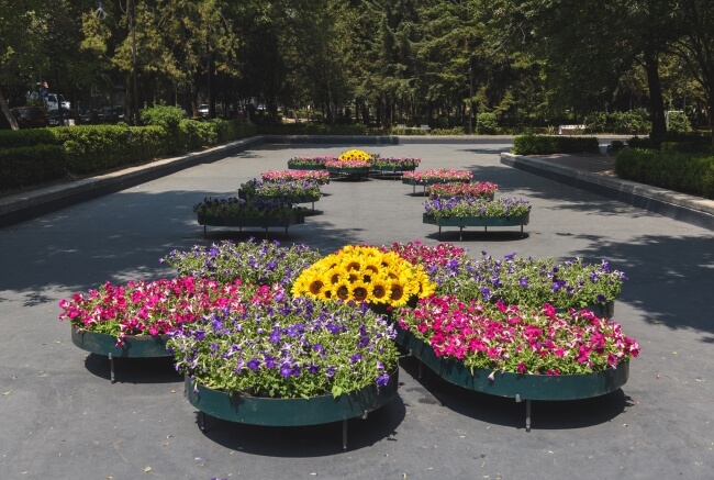 Todo lo que hay que saber sobre el Festival de Flores y Jardines de la CDMX