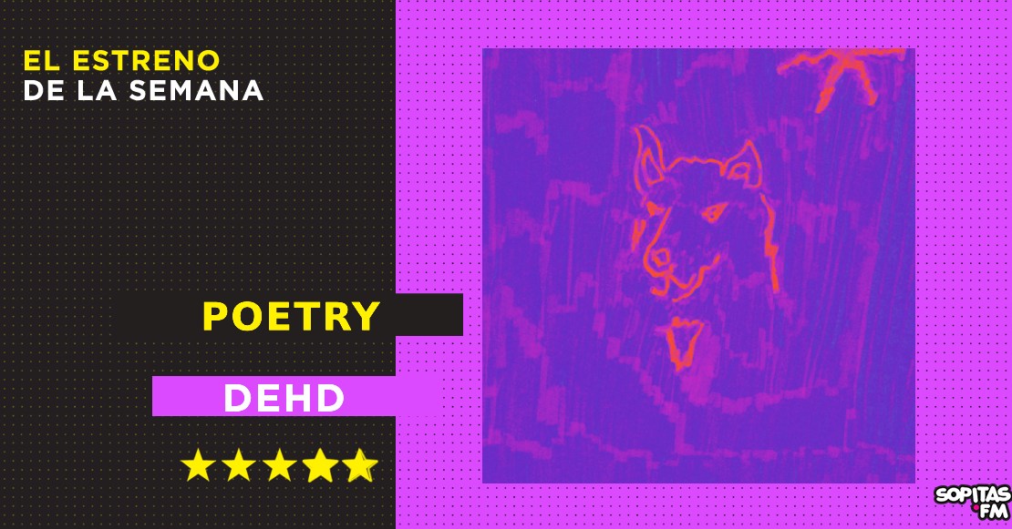 Poetry: Dehd nos encanta con una mezcla de surf, post-punk y shoegaze que suena refrescante y veraniego