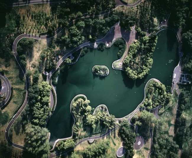 La tranquilidad garantizada: Lugares para ver lagos y patos en la CDMX