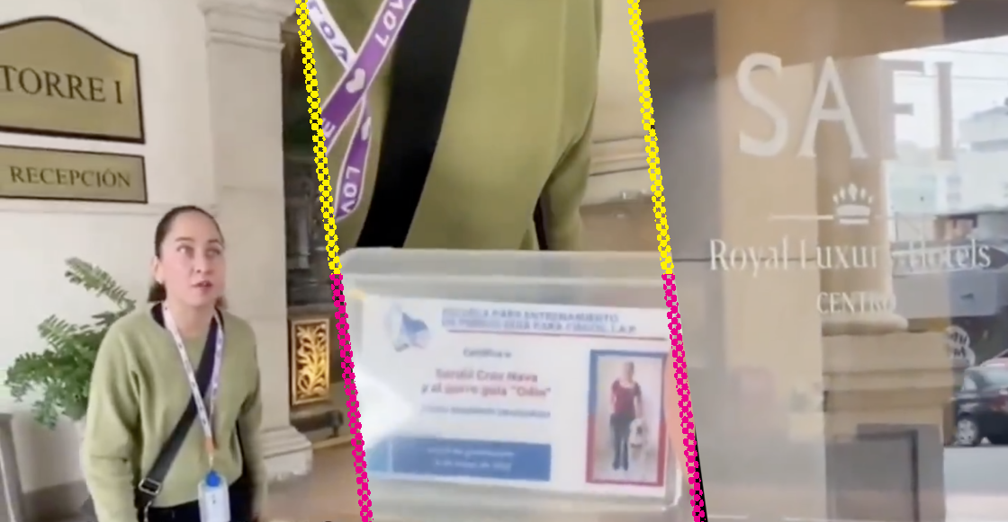 Hotel Safi prohibe la entrada de un perro guía y asegura que no es discriminación