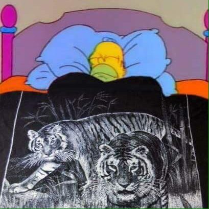 Cobija de tigre