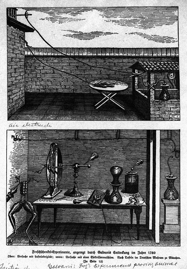 Ilustración del trabajo de Galvani