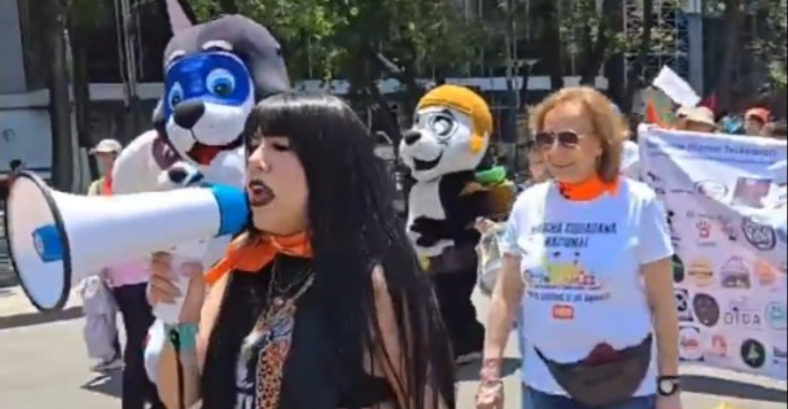 Marcha-por-los-animales-en-la-CDMX-3