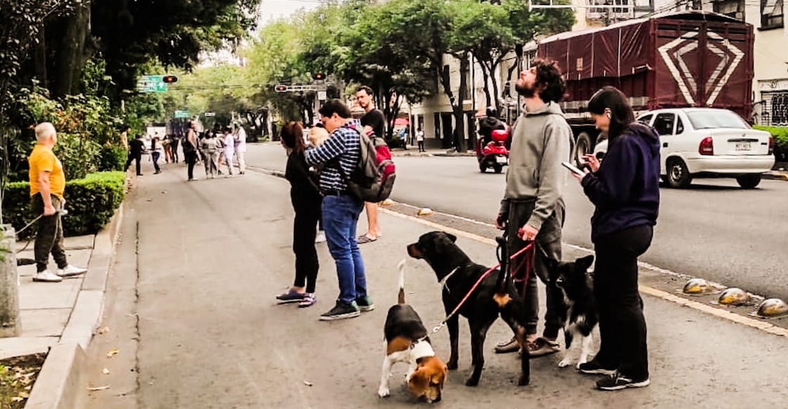 Falla de Barranca del Muerto: Otra posible causa de los microsismos en CDMX