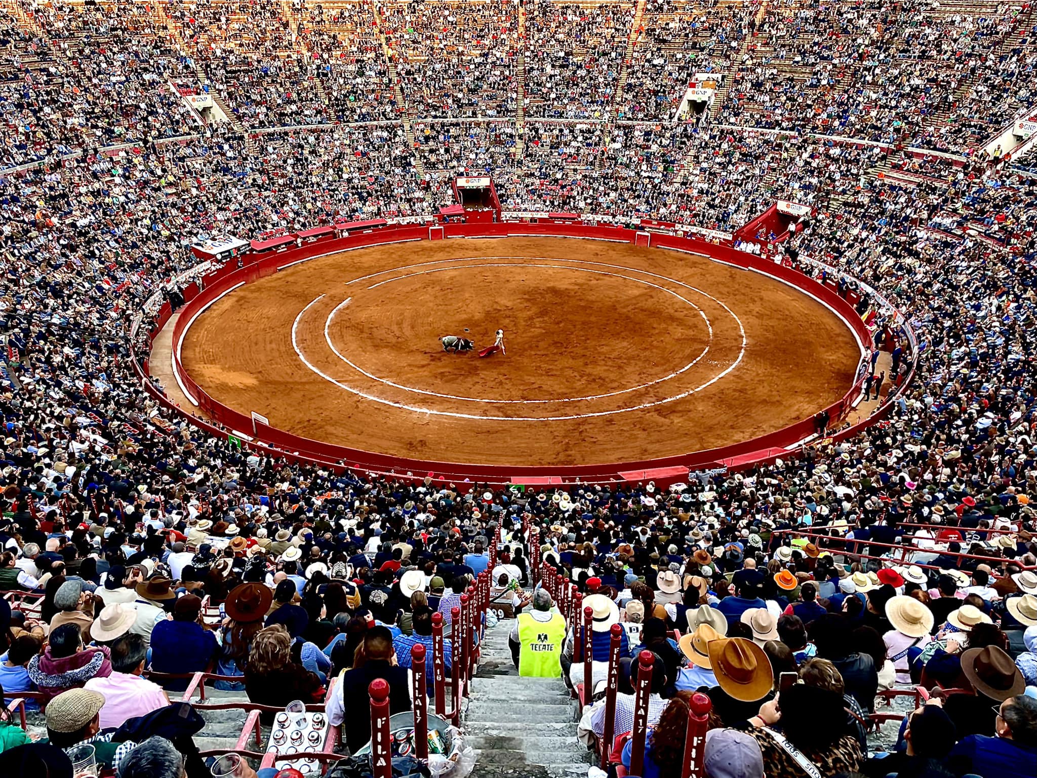 Las reglas de las nuevas corridas de toros sin violencia en CDMX