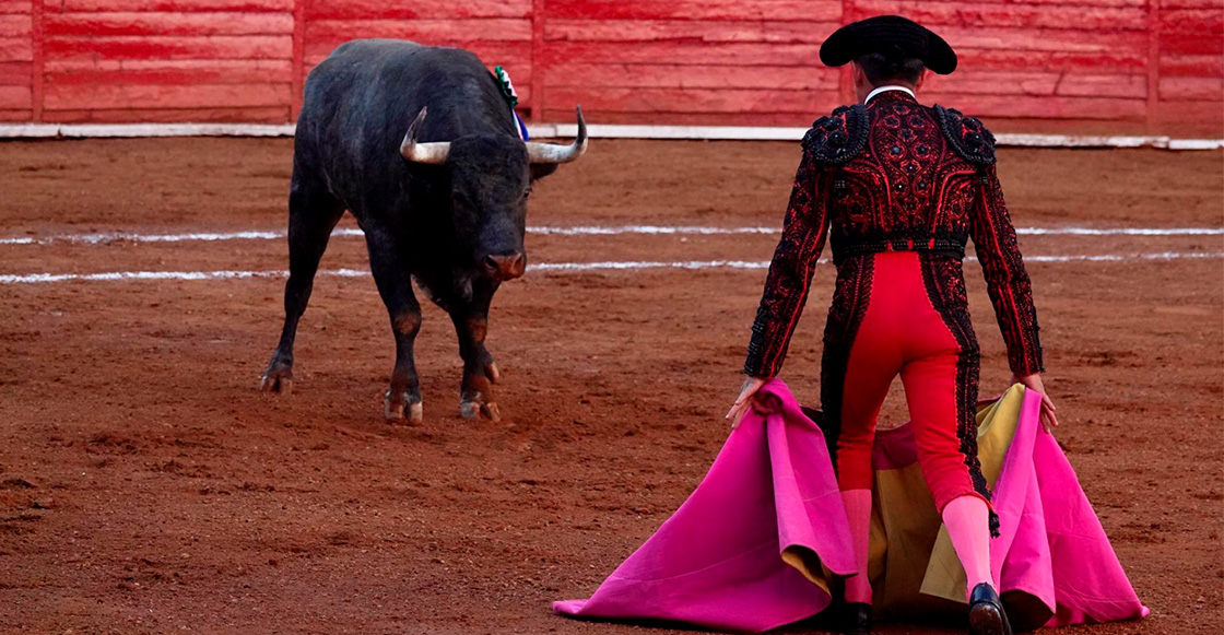 Así serán las nuevas corridas de toros sin violencia en CDMX - La ...