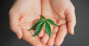 420Day: El día internacional de la marihuana y de muchas otras cosas