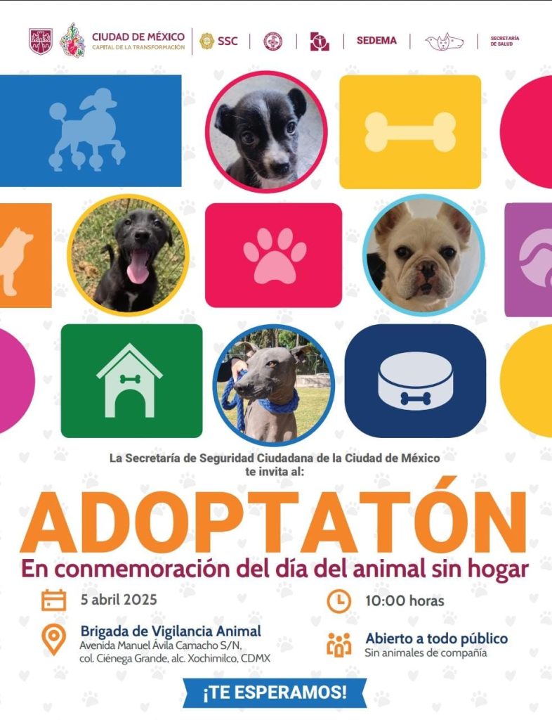 Adoptatón CDMX