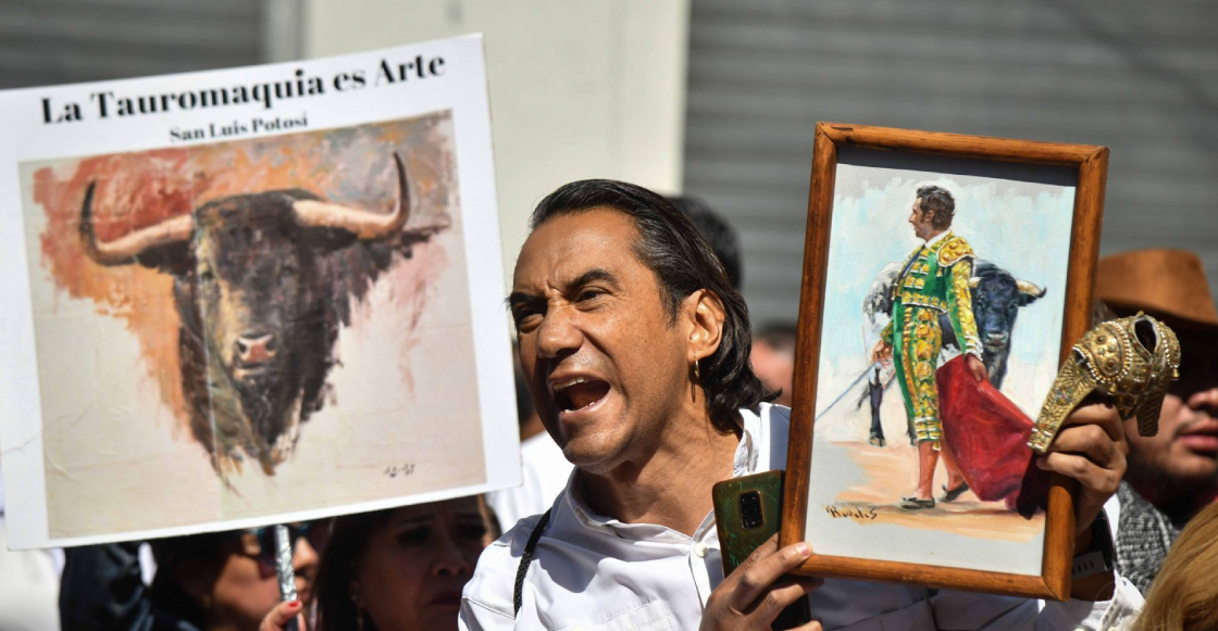 Planean acciones legales vs corridas de toros sin violencia