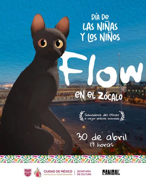 flow zocalo cdmx