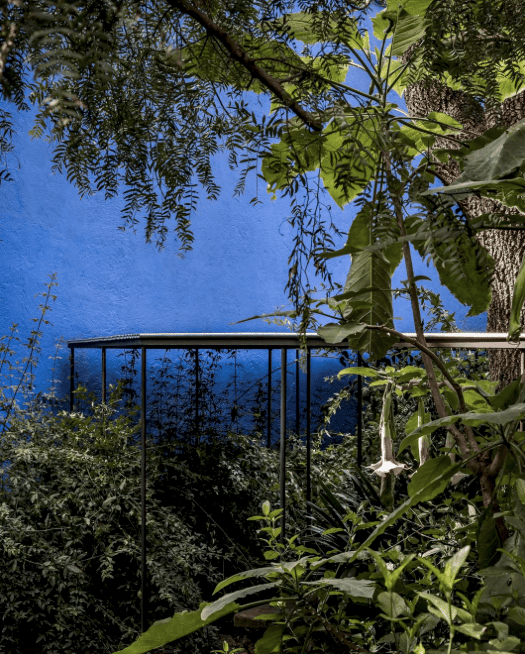 Cinco jardines secretoras de la CDMX