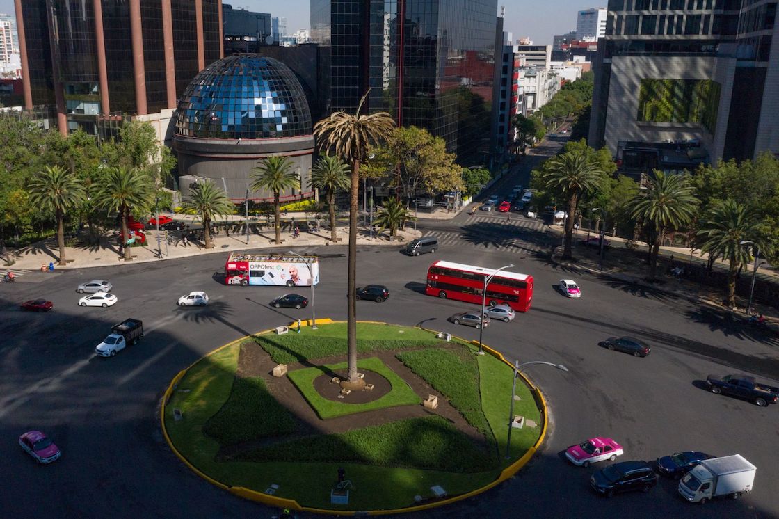 Se dice que las palmeras canarias empezaron colocarse intentando imitar la apariencia de Los Ángeles.