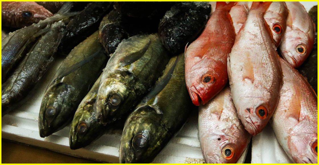 Los precios del pescado aumentan de 2018 a 2025 en México.